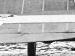 Roland D.VIa - Jasta 23b. Detail tailplane left (Greg VanWyngarden)